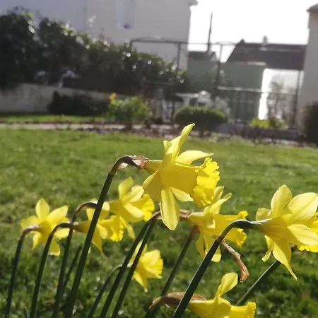 Gite Du Jardin De Charlotte - Maison Avec Jardin Clos Feriehus *