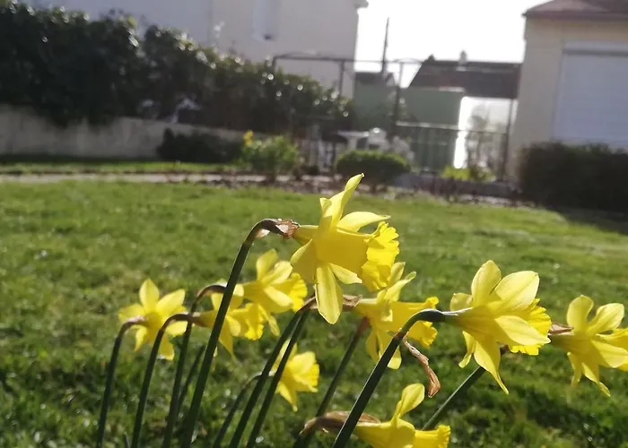 Du Jardin De Charlotte - Ancenis St Gereon Vakantiehuis *